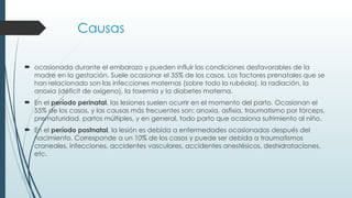Causas
 ocasionada durante el embarazo y pueden influir las condiciones desfavorables de la
madre en la gestación. Suele ocasionar el 35% de los casos. Los factores prenatales que se
han relacionado son las infecciones maternas (sobre todo la rubéola), la radiación, la
anoxia (déficit de oxígeno), la toxemia y la diabetes materna.
 En el período perinatal, las lesiones suelen ocurrir en el momento del parto. Ocasionan el
55% de los casos, y las causas más frecuentes son: anoxia, asfixia, traumatismo por fórceps,
prematuridad, partos múltiples, y en general, todo parto que ocasiona sufrimiento al niño.
 En el período postnatal, la lesión es debida a enfermedades ocasionadas después del
nacimiento. Corresponde a un 10% de los casos y puede ser debida a traumatismos
craneales, infecciones, accidentes vasculares, accidentes anestésicos, deshidrataciones,
etc.
 