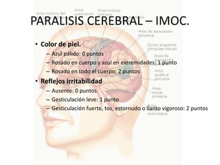 PARALISIS CEREBRAL – IMOC.
• Color de piel.
   – Azul pálido: 0 puntos
   – Rosado en cuerpo y azul en extremidades: 1 punto
   – Rosado en todo el cuerpo: 2 puntos
• Reflejos irritabilidad
   – Ausente: 0 puntos
   – Gesticulación leve: 1 punto
   – Gesticulación fuerte, tos, estornudo o llanto vigoroso: 2 puntos
 