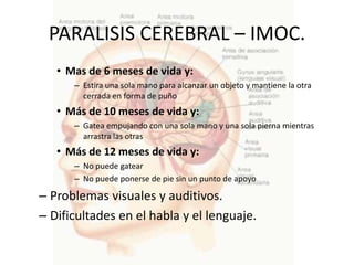 PARALISIS CEREBRAL – IMOC.
   • Mas de 6 meses de vida y:
      – Estira una sola mano para alcanzar un objeto y mantiene la otra
        cerrada en forma de puño
   • Más de 10 meses de vida y:
      – Gatea empujando con una sola mano y una sola pierna mientras
        arrastra las otras
   • Más de 12 meses de vida y:
      – No puede gatear
      – No puede ponerse de pie sin un punto de apoyo

– Problemas visuales y auditivos.
– Dificultades en el habla y el lenguaje.
 