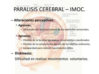 PARALISIS CEREBRAL – IMOC.
– Alteraciones perceptivas:
   • Agnosias:
      – Alteración del reconocimiento de los estímulos sensoriales.

   • Apraxias:
      – Pérdida de la facultad de realizar movimientos coordinados
      – Pérdida de la comprensión del uso de los objetos ordinarios.
      – Incapacidad para realizar movimientos útiles.

– Diskinesia:
  Dificultad en realizar movimientos voluntarios.
 