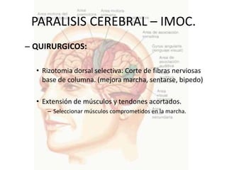 PARALISIS CEREBRAL – IMOC.
– QUIRURGICOS:

  • Rizotomia dorsal selectiva: Corte de fibras nerviosas
    base de columna. (mejora marcha, sentarse, bipedo)

  • Extensión de músculos y tendones acortados.
     – Seleccionar músculos comprometidos en la marcha.
 