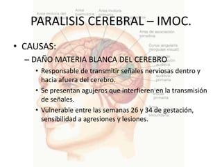 PARALISIS CEREBRAL – IMOC.
• CAUSAS:
  – DAÑO MATERIA BLANCA DEL CEREBRO
    • Responsable de transmitir señales nerviosas dentro y
      hacia afuera del cerebro.
    • Se presentan agujeros que interfieren en la transmisión
      de señales.
    • Vulnerable entre las semanas 26 y 34 de gestación,
      sensibilidad a agresiones y lesiones.
 