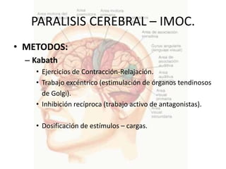 PARALISIS CEREBRAL – IMOC.
• METODOS:
  – Kabath
    • Ejercicios de Contracción-Relajación.
    • Trabajo excéntrico (estimulación de órganos tendinosos
      de Golgi).
    • Inhibición recíproca (trabajo activo de antagonistas).

    • Dosificación de estímulos – cargas.
 