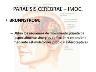 PARALISIS CEREBRAL – IMOC.
• BRUNNSTROM:

 – Utiliza los esquemas de movimiento primitivos
   (especialmente sinergias de flexión y extensión)
   mediante estimulaciones propio y exteroceptivas.
 