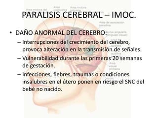 PARALISIS CEREBRAL – IMOC.
• DAÑO ANORMAL DEL CEREBRO:
  – Interrupciones del crecimiento del cerebro,
    provoca alteración en la transmisión de señales.
  – Vulnerabilidad durante las primeras 20 semanas
    de gestación.
  – Infecciones, fiebres, traumas o condiciones
    insalubres en el útero ponen en riesgo el SNC del
    bebé no nacido.
 