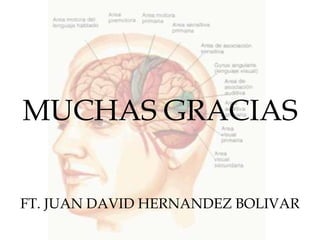 MUCHAS GRACIAS


FT. JUAN DAVID HERNANDEZ BOLIVAR
 