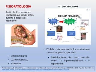 SISTEMA PIRAMIDAL
• Pérdida o disminución de los movimientos
voluntarios, paresia o parálisis.
• Modificaciones del tono muscular
como la hiperextensibilidad y la
espasticidad.
FISIOPATOLOGIA
• CIRIOAMNIONITIS
• ASFIXIA PERINATAL
• BAJO PESO
Acción de diversas causas
etiológicas que actúan antes,
durante o después del
nacimiento.
Fernández-Jaén, B. Calleja-Pérez. La parálisis cerebral infantil desde la atención primaria. Med Integral 2002;40(4):148-58. Pag. 153 Disponible en:
https://www.elsevier.es/es-revista-medicina-integral-63-articulo-la-paralisis-cerebral-infantil-desde-13036784
 