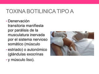 TOXINA BOTILINICA TIPO A
• Denervación

transitoria manifiesta
por parálisis de la
musculatura inervada
por el sistema nervioso
somático (músculo
• estriado) o autonómico
(glándulas exocrinas
• y músculo liso).

 
