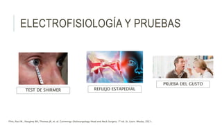 ELECTROFISIOLOGÍA Y PRUEBAS
TEST DE SHIRMER REFLEJO ESTAPEDIAL
PRUEBA DEL GUSTO
Flint, Paul W., Haughey BH, Thomas JR, et. al. Cummings Otolaryngology Head and Neck Surgery. 7ª ed. St. Louis: Mosby, 2021.
 