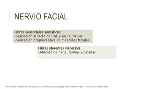 Fibras sensoriales somáticas:
-Sensación al tacto de CAE y piel auricular.
-Sensación propioceptiva de músculos faciales.
Fibras aferentes viscerales.
-Mucosa de nariz, faringe y paladar.
NERVIO FACIAL
Flint, Paul W., Haughey BH, Thomas JR, et. al. Cummings Otolaryngology Head and Neck Surgery. 7ª ed. St. Louis: Mosby, 2021.
 