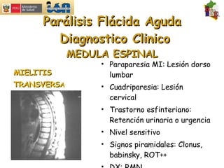 Parálisis Flácida Aguda  Diagnostico Clinico MEDULA ESPINAL MIELITIS  TRANSVERS A Paraparesia MI: Lesión dorso lumbar Cuadriparesia: Lesión cervical Trastorno esfinteriano: Retención urinaria o urgencia Nivel sensitivo Signos piramidales: Clonus, babinsky, ROT++ DX: RMN 