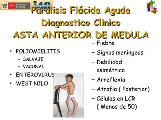 Parálisis Flácida Aguda Diagnostico Clinico ASTA ANTERIOR DE MEDULA POLIOMIELITIS  SALVAJE VACUNAL ENTEROVIRUS WEST NILO Fiebre Signos meníngeos Debilidad asimétrica Arreflexia Atrofia ( Posterior) Células en LCR  ( Menos de 50) 