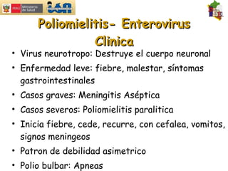 Poliomielitis- Enterovirus Clinica Virus neurotropo: Destruye el cuerpo neuronal Enfermedad leve: fiebre, malestar, síntomas gastrointestinales Casos graves: Meningitis Aséptica Casos severos: Poliomielitis paralitica Inicia fiebre, cede, recurre, con cefalea, vomitos, signos meningeos Patron de debilidad asimetrico Polio bulbar: Apneas 
