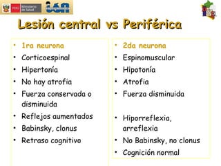 Lesión central vs Periférica 1ra neurona Corticoespinal Hipertonía No hay atrofia Fuerza conservada o disminuida Reflejos aumentados Babinsky, clonus Retraso cognitivo 2da neurona Espinomuscular Hipotonía Atrofia Fuerza disminuida Hiporreflexia, arreflexia No Babinsky, no clonus Cognición normal 
