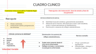 4 semanas instauración(90%)/ Pudiendo llegar
hasta 6 s.
Fase aguda o de instauración, fase de estado y fase de
recuperación.
F
ase aguda
● Horas a semanas.
● Instauración súbita y progresiva de
los síntomas.
SÍNTOMA DE PRESENTACIÓN HABITUAL
● Debilidad muscular simétrica, generalmente ascendente.
● Alteración de la marcha: dificultad para correr, subir escaleras,
andar o incluso permanecer en bipedestación.
● Disminución o ausencia de reflejos osteotendinosos.
¿Dónde comienza la debilidad?
● Piernas.
● Brazos.
● Cara
● Musculos
respiratorios.
Velocidad: Variable
Disminución o la ausencia de
reflejos osteotendinosos.
● Suelen estar presente desde el
inicio de la enfermedad.
● Reflejos normales o aumentados
no excluyen la enfermedad.
Nervios craneales
● VII par: queratitis por
lagoftalmos
● Glosofaringeo: disfagia 1.
Liquidos 2. solidos.
CUADRO CLINICO
 