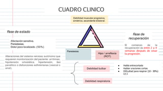 CUADRO CLINICO
F
ase de estado
Afectación sensitiva.
Parestesias.
Dolor poco localizado. (50%)
Alteraciones del sistema nervioso autónomo que
requieren monitorización del paciente: arritmias,
hipotensión ortostática, hipertensión, íleo
paralítico o disfunciones esfinterianas (vesical o
anal).
F
ase de
recuperación
El comienzo de la
recuperación es entre 2 y 4
semanas después de cesar
la progresión.
Debilidad muscular progresiva,
simétrica, ascendente bilateral.
Parestesias
Hipo / arreflexia
(ROT)
Debilidad bulbar
Debilidad respiratoria
● Habla entrecortada
● Hablar oraciones cortas
● Dificultad para respirar (10 - 30%):
UCI
 