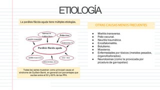 ETIOLOGÍA
La parálisis flácida aguda tiene múltiples etiologías.
Todas las series muestran como principal causa al
síndrome de Guillain Barré, en general con porcentajes que
oscilan entre el 50 y 60% de las PFA.
OTRAS CAUSAS MENOS FRECUENTES
● Mielitis transversa.
● Polio vacunal.
● Neuritis traumática.
● Encefalomielitis.
● Botulismo.
● Miastenia.
● Enfermedades por tóxicos (metales pesados,
órganofosforados).
● Neurotoxinas (como la provocada por
picadura de garrapatas)
 