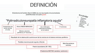 DEFINICIÓN
El síndrome de Guillain-Barré (GBS) es una neuropatía inmunomediada
postinfecciosa rara pero grave.
“Polirradiculoneuropatía inflamatoria aguda”
Compromiso de
varios nervios
a la vez.
Afecta RAÍCES NERVIOSAS
Afecta a neurona
periférica (2ª neurona)
Ac e infiltrados
inflamatorios fijados
en la mielina.
<4 semanas
Resultado de la destrucción autoinmune de los nervios en el sistema nervioso periférico.
Parálisis neuromuscular aguda y flácida
Patrón ascendente (MI -MS)
Predominio MOTOR, sensitivo, autónomo.
Más frecuente en
varones.
 
