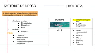 FACTORES DE RIESGO
Al ser considerada esta enfermedad como una
respuesta aberrante ante un estímulo inmune:
● Infecciones previas.
■ Respiratorias.
■ Digestivas.
■ Zika.
● Vacunas.
OTROS:
■ Influenza.
● Lluvia fría.
● Sobrecarga de
actvidades.
● Exposición a órganos
fosforados.
ETIOLOGÍA
BACTERIAS ● Campilobacter jejuni.
25%
● H. Pylori.
● M. Pneumoniae
● H. Influenzae
VIRUS ● Herpes.
● Hepatitis (A,B,E)
● VIH
● influenza A
● CMV
● Varicela
● Enterovirus
● VEB
● Virus zika.
.
 