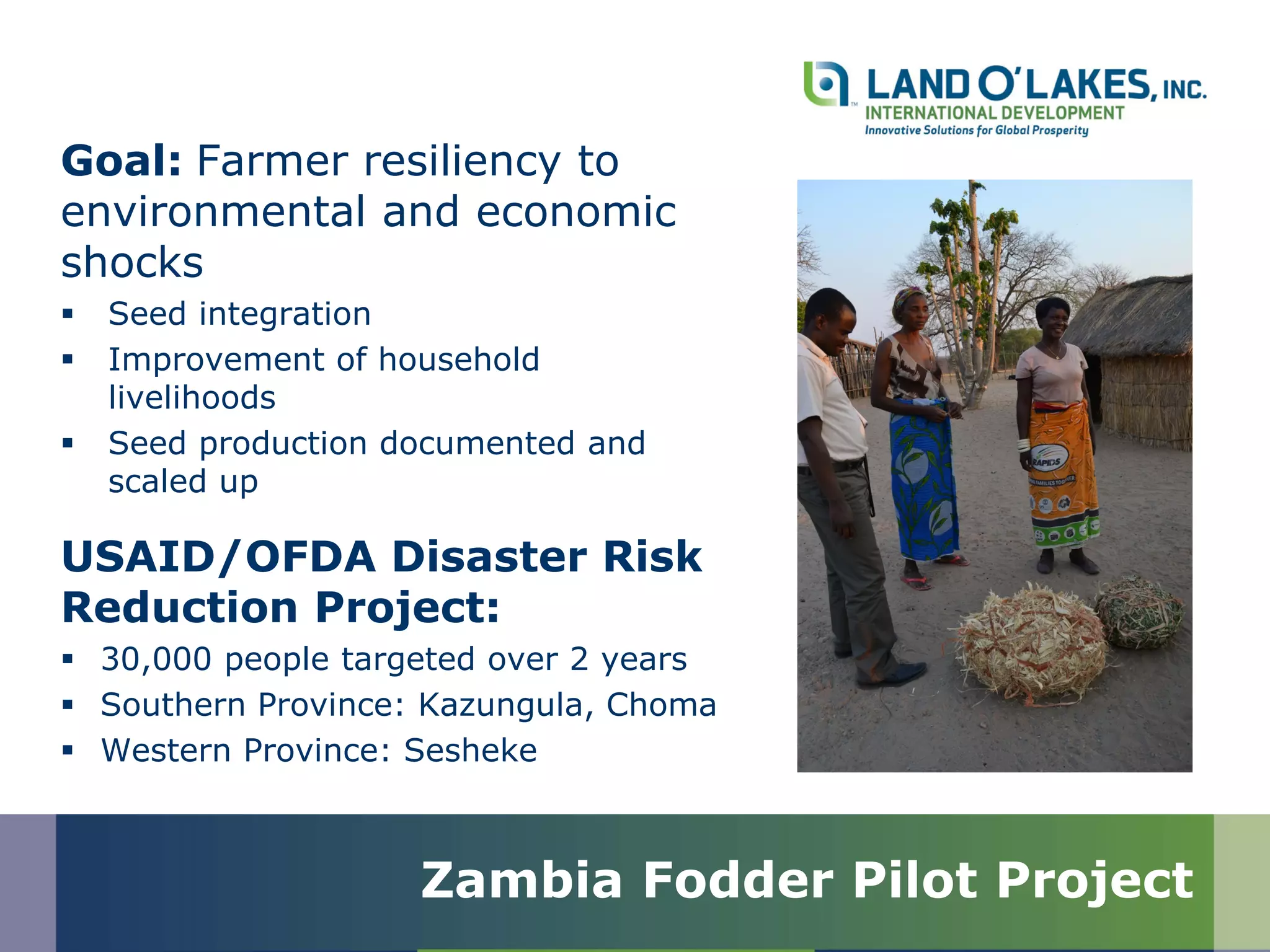 Goal: Farmer resiliency to
environmental and economic
shocks
 Seed integration
 Improvement of household
livelihoods
 Seed production documented and
scaled up
USAID/OFDA Disaster Risk
Reduction Project:
 30,000 people targeted over 2 years
 Southern Province: Kazungula, Choma
 Western Province: Sesheke
Zambia Fodder Pilot Project
 