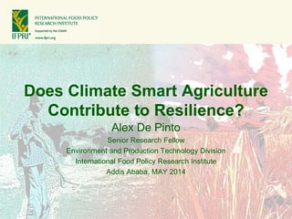 Does Climate Smart Agriculture
Contribute to Resilience?
Alex De Pinto
Senior Research Fellow
Environment and Production Technology Division
International Food Policy Research Institute
Addis Ababa, MAY 2014
 