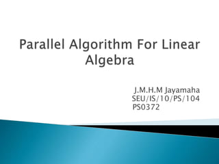 Parallel algorithm in linear algebra