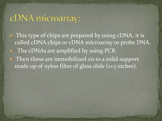  This type of chips are prepared by using cDNA, it is
called cDNA chips or cDNA microarray or probe DNA.
 The cDNAs are amplified by using PCR.
 Then these are immobilized on to a solid support
made up of nylon filter of glass slide (1×3 inches).
 