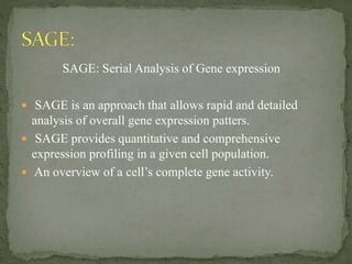 SAGE: Serial Analysis of Gene expression
 SAGE is an approach that allows rapid and detailed
analysis of overall gene expression patters.
 SAGE provides quantitative and comprehensive
expression profiling in a given cell population.
 An overview of a cell’s complete gene activity.
 