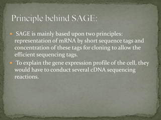  SAGE is mainly based upon two principles:
representation of mRNA by short sequence tags and
concentration of these tags for cloning to allow the
efficient sequencing tags.
 To explain the gene expression profile of the cell, they
would have to conduct several cDNA sequencing
reactions.
 
