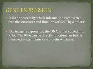  It is the process by which information is converted
into the structures and functions of a cell by a process
 During gene expression, the DNA is first copied into
RNA. The RNA can be directly functional or be the
intermediate template for a protein synthesis.
 