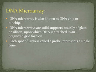  DNA microarray is also known as DNA chip or
biochip.
 DNA microarrays are solid supports, usually of glass
or silicon, upon which DNA is attached in an
organized grid fashion.
 Each spot of DNA is called a probe, represents a single
gene.
 