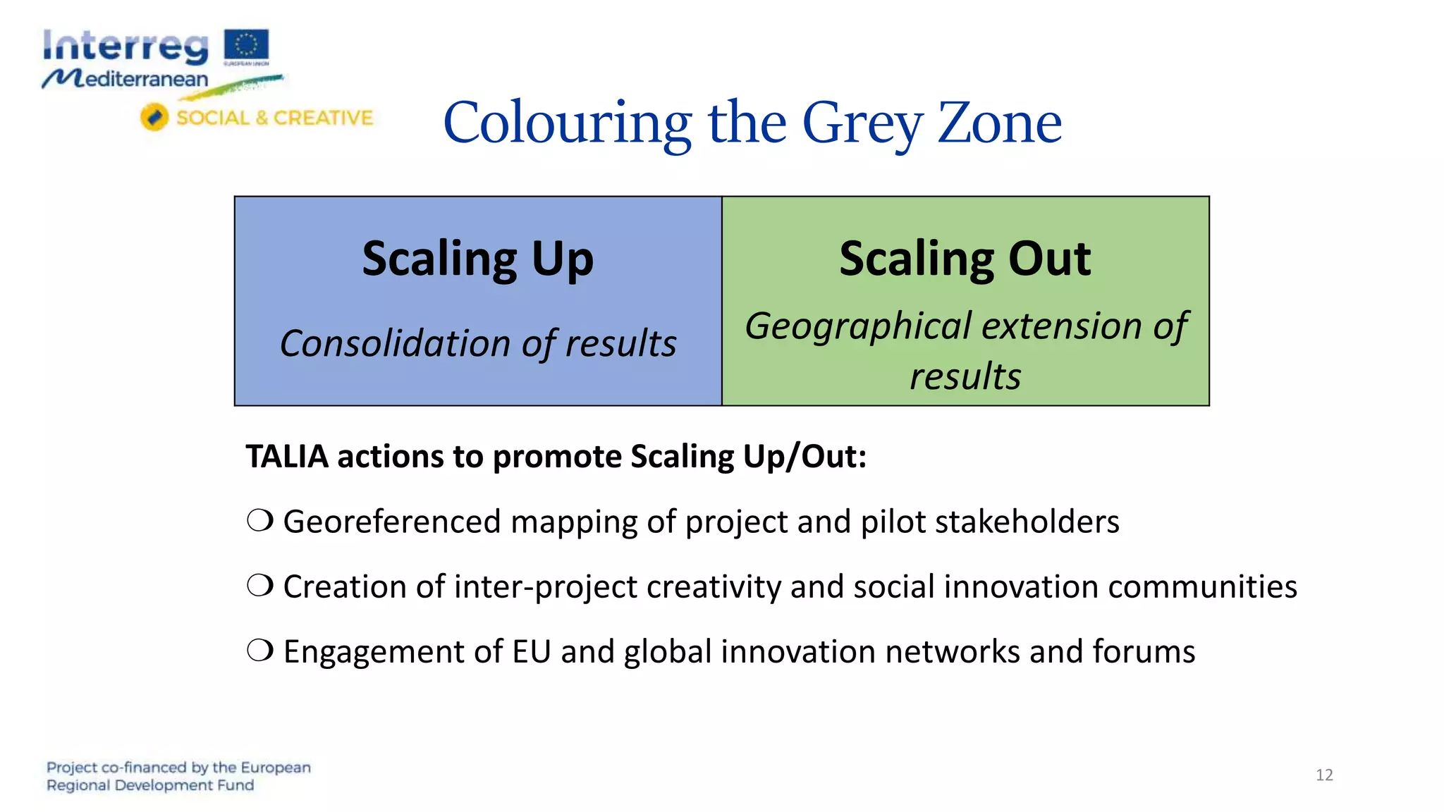Colouring the Grey Zone
Scaling Up
Consolidation of results
Scaling Out
Geographical extension of
results
12
TALIA actions to promote Scaling Up/Out:
❍ Georeferenced mapping of project and pilot stakeholders
❍ Creation of inter-project creativity and social innovation communities
❍ Engagement of EU and global innovation networks and forums