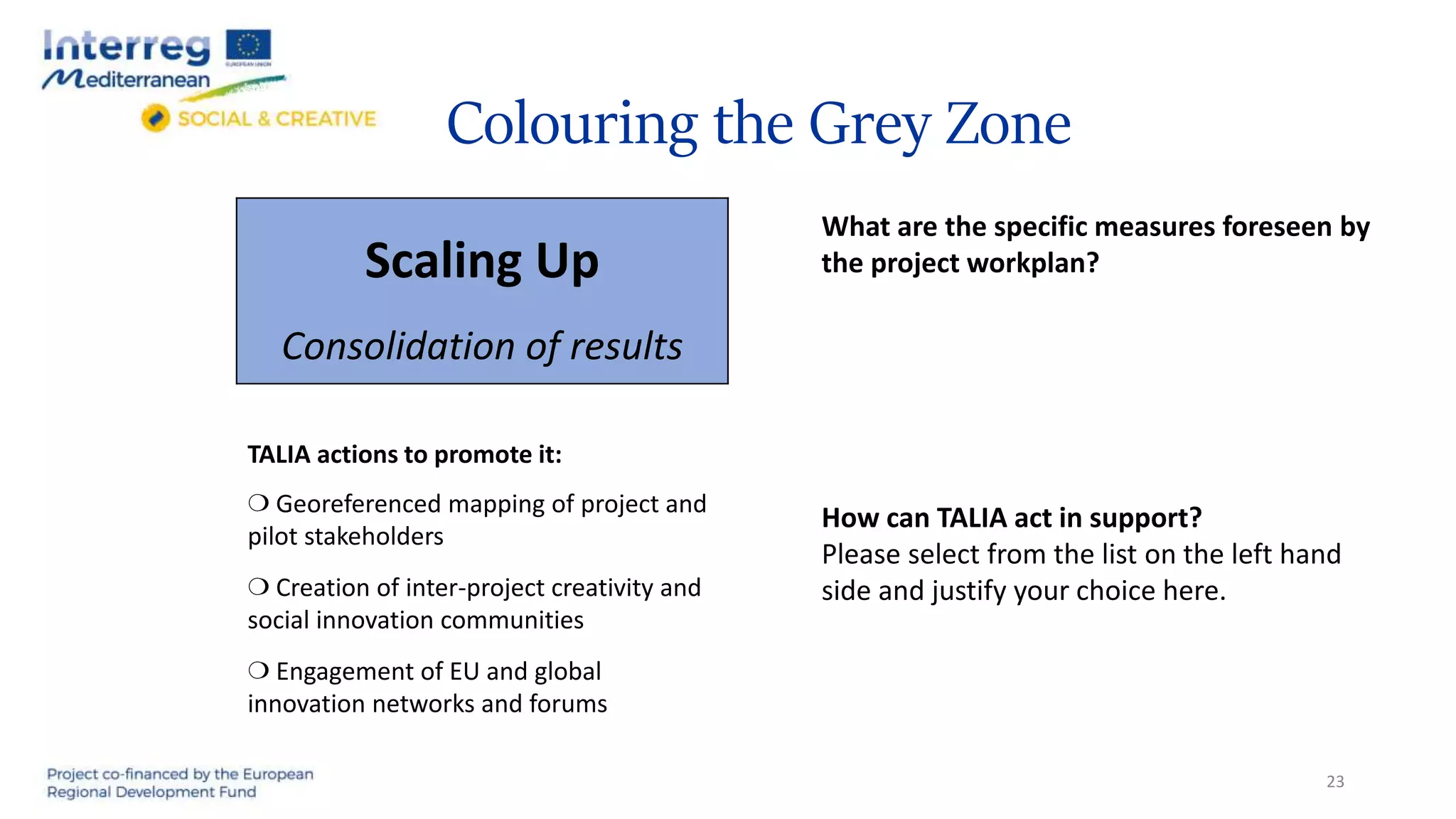 Colouring the Grey Zone
Scaling Up
Consolidation of results
23
What are the specific measures foreseen by
the project workplan?
How can TALIA act in support?
Please select from the list on the left hand
side and justify your choice here.
TALIA actions to promote it:
❍ Georeferenced mapping of project and
pilot stakeholders
❍ Creation of inter-project creativity and
social innovation communities
❍ Engagement of EU and global
innovation networks and forums