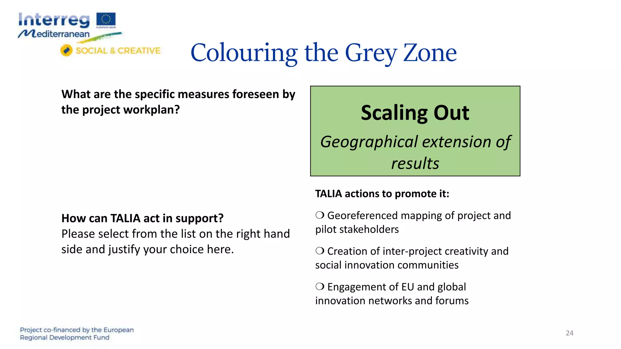 Colouring the Grey Zone
Scaling Out
Geographical extension of
results
24
What are the specific measures foreseen by
the project workplan?
How can TALIA act in support?
Please select from the list on the right hand
side and justify your choice here.
TALIA actions to promote it:
❍ Georeferenced mapping of project and
pilot stakeholders
❍ Creation of inter-project creativity and
social innovation communities
❍ Engagement of EU and global
innovation networks and forums