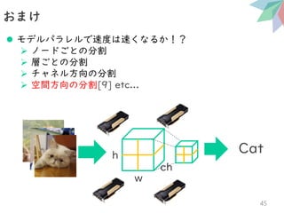 ⚫ モデルパラレルで速度は速くなるか！？
➢ ノードごとの分割
➢ 層ごとの分割
➢ チャネル方向の分割
➢ 空間方向の分割[9] etc...
おまけ
45
Cat
ch
w
h
 