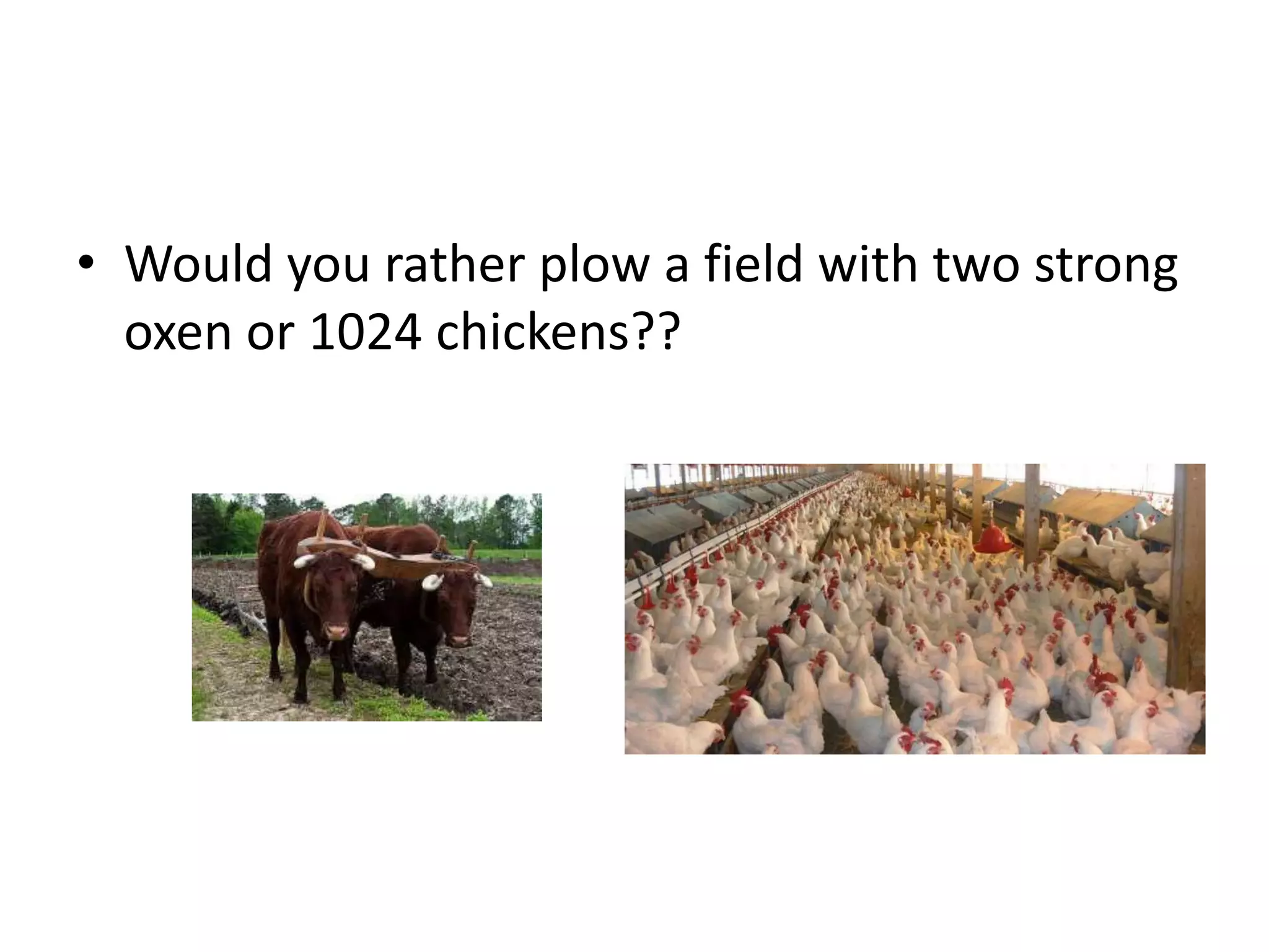 • Would you rather plow a field with two strong
oxen or 1024 chickens??
 