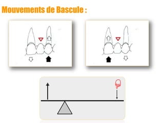 Mouvements de Bascule :
 
