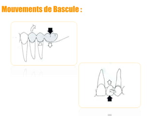 Mouvements de Bascule :
 