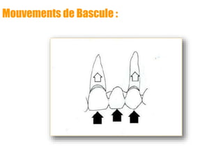Mouvements de Bascule :
 