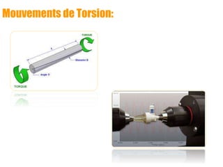 Mouvements de Torsion:
 