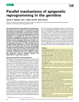 Review




Parallel mechanisms of epigenetic
reprogramming in the germline
Jamie A. Hackett, Jan J. Zylicz and M. Azim Surani
Wellcome Trust/Cancer Research UK Gurdon Institute and Department of Physiology, Development and Neuroscience,
University of Cambridge, Cambridge, CB2 1QN, UK



Germ cells possess the extraordinary and unique capac-                                       [5,6]. This process is initiated in response to localised sig-
ity to give rise to a new organism and create an enduring                                    nals, including BMP4 and WNT3, which direct activation of
link between all generations. To acquire this property,                                      the key transcriptional regulators B-lymphocyte-induced
primordial germ cells (PGCs) transit through an unprec-                                      maturation protein 1 (Blimp1) and PR domain containing
edented programme of sequential epigenetic events that                                       14 (Prdm14) in competent epiblast cells [1,7–9]. Lineage-
culminates in an epigenomic basal state that is the                                          restricted PGCs then embark on an orchestrated sequence
foundation of totipotency. This process is underpinned                                       of reprogramming that culminates in a basal epigenetic
by genome-wide DNA demethylation, which may occur                                            state. The number of early PGCs is highly restricted (ap-
through several overlapping pathways, including con-                                         proximately 40 by E7.25) so it is crucial that the complex
version to 5-hydroxymethylcytosine. We propose that                                          series of epigenetic events be robust to ensure that most, if
the epigenetic programme in PGCs operates through                                            not all, cells efﬁciently transit through the process [10].
multiple parallel mechanisms to ensure robustness at                                         Reprogramming must also proceed rapidly because of strict
the level of individual cells while also being ﬂexible
through functional redundancy to guarantee high ﬁdeli-                                         Glossary
ty of the process. Gaining a better understanding of the
                                                                                               5-hydroxymethylcytosine (5hmC): oxidation of methylated cytosines (5mC) by
molecular mechanisms that direct epigenetic repro-                                             TET proteins generates 5hmC, which may be an intermediate during DNA
gramming in PGCs will enhance our ability to manipu-                                           demethylation and can be further converted to 5caC and 5fC. 5hmC is enriched
late epigenetic memory, cell-fate decisions and                                                in pluripotent and some neuronal cell types, but its precise functional
                                                                                               consequences in the genome and its role in DNA demethylation are unclear.
applications in regenerative medicine.                                                         Base excision repair (BER): a cellular mechanism for repair of nonhelix-
                                                                                               distorting base mutations or lesions in the genome. BER is initiated by a DNA
Reprogramming PGCs towards totipotency                                                         glycosylase (e.g. TDG) that removes inappropriate bases and forms an
Development from the zygote to adulthood is characterised                                      apurinic/apyrimidinic (AP) site, which is then cleaved by an AP endonuclease
                                                                                               and repaired by specific lyases and polymerases. BER may function to remove
by a progressive restriction of cellular potential that gives                                  downstream derivatives of 5mC, such as 5caC, and mediate repair to
rise to all the differentiated somatic cell types. A unique                                    unmodified C [60].
                                                                                               Basal epigenetic state: the unique epigenetic state of PGCs following
exception to this unidirectional process occurs in the germ-                                   reprogramming. By E13.5, the PGC epigenome has undergone extensive
line, where an unprecedented reprogramming event in                                            reorganisation of histone modifications and is stripped of genome-wide DNA
PGCs (see Glossary) reverses epigenetic barriers to plas-                                      methylation, rendering it at its most basal level during the mammalian life
                                                                                               cycle.
ticity and resets genomic potential. Reprogramming in                                          Bisulfite sequencing: a technique used to determine the pattern of allelic DNA
PGCs results in chromatin remodelling, erasure of genomic                                      methylation (5mC) at specific genomic regions. Bisulfite sequencing cannot
imprints and extensive DNA demethylation [1]. This pro-                                        distinguish 5mC from 5hmC [33]. Additionally, 5caC is indistinguishable from
                                                                                               unmodified C by bisulfite sequencing [60].
cess represents the most comprehensive erasure of epige-                                       DNA demethylation: the removal of a methyl group from position 5 of a
netic information in the mammalian life cycle and                                              cytosine base (5mC), which usually resides within a CpG genomic context, to
underpins the totipotent state. Therefore, unravelling                                         generate an unmodified C. DNA demethylation may occur through either a
                                                                                               ‘passive’ mechanism that relies on replication-dependent dilution or an ‘active’
the mechanisms that drive reprogramming, particularly                                          process driven by enzymatic replacement independently of DNA replication. As
DNA demethylation, in the unique context of PGCs is of                                         DNA methylation is associated with transcriptional silencing, DNA demethyla-
great interest.                                                                                tion can generate a transcriptionally competent state.
                                                                                               Epigenetic reprogramming: genome-wide reorganisation of epigenetic mod-
   In mice, PGCs are speciﬁed from a subset of posterior                                       ifications that overcomes stable epigenetic barriers and enables acquisition of
proximal epiblast cells at approximately embryonic day (E)                                     genomic potential. During the mammalian life cycle, epigenetic reprogram-
                                                                                               ming occurs in PGCs and in early zygotic development.
6.25, resulting in the establishment of a founder population
                                                                                               Genomic imprints: genomic sequences that exhibit differences in CpG methyla-
of PGCs at E7.25 [1,2]. These nascent PGCs subsequently                                        tion according to the parent of origin. These differentially methylated regions
migrate to the genital ridges by approximately E10.5 and,                                      (DMRs) can influence the allele-specific expression of one or more genes.
                                                                                               Primordial germ cell (PGC): the precursors of mature germ cells that are
from E12.5 onwards, they undergo sex-speciﬁc development                                       specified during post-implantation development. In vivo, PGCs are restricted
in the gonads [3,4]. Because mammalian PGCs are speciﬁed                                       as a unipotent lineage and only give rise to gametes, which generate the
from cells that are already primed towards a somatic fate,                                     totipotent state upon fertilisation. Early PGCs also possess an underlying
                                                                                               genomic plasticity, as evidenced through their capacity to form pluripotent EG
nascent PGCs must both repress the ongoing somatic pro-                                        cells upon in vitro culture.
gramme and activate the germ cell transcriptional network                                      Totipotency: the ability of a cell to give rise to all the cell types of the
                                                                                               embryonic and extra-embryonic lineages. By contrast, pluripotency refers to
                                                                                               the capacity of a cell to generate all the cell types of the embryo.
      Corresponding author: Surani, M.A. (a.surani@gurdon.cam.ac.uk).

164                                0168-9525/$ – see front matter ß 2012 Elsevier Ltd. All rights reserved. doi:10.1016/j.tig.2012.01.005 Trends in Genetics, April 2012, Vol. 28, No. 4
 