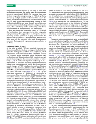 Parallel mechanisms of epigenetic reprogramming in the germline | PDF