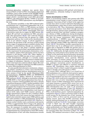 Parallel mechanisms of epigenetic reprogramming in the germline | PDF