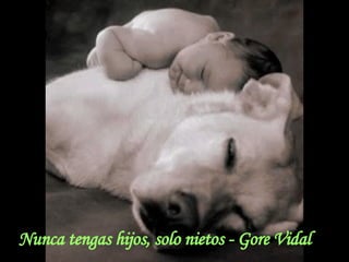 Nunca tengas hijos, solo nietos - Gore Vidal 
