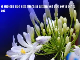 Si supiera que esta fuera la última vez que voy a oir tu
voz
 