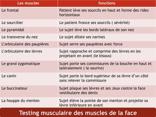 Les muscles fonctions
Le frontal Patient lève ses sourcils en haut et forme des rides
horizontaux
Le sourcilier Le patient fronce ses sourcils ( sévérité)
Le pyramidal Le sujet lève les bords latéraux de son nez
Le transverse du nez Le sujet dilate ses narines
L’orbiculaire des paupières Sujet serre ses paupières avec force
L’orbiculaire des lèvres Sujet rapproche et comprime des lèvres en les
projetant en avant (le bisous)
Le grand zygomatique Sujet porte ses commissures de la bouche en haut et
latéralement ( le sourire)
Le canin Sujet porte le bord supérieur de sa lèvre d’un côté
sans relever la commissure
Le buccinateur Sujet plaque ses lèvres et ses Joux contre la face
vestibulaire des dents
La houppe du menton Sujet élève la pointe de son menton et projette sa
lèvre inférieure en avant
Testing musculaire des muscles de la face
 
