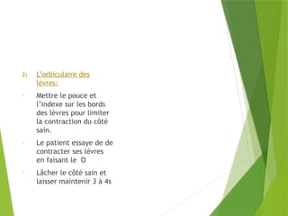 2) L’orbiculaire des
lèvres:
- Mettre le pouce et
l’indexe sur les bords
des lèvres pour limiter
la contraction du côté
sain.
- Le patient essaye de de
contracter ses lèvres
en faisant le O
- Lâcher le côté sain et
laisser maintenir 3 à 4s
 