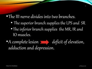 •The III nerve divides into two branches.
• The superior branch supplies the LPS and SR
•The inferior branch supplies the MR, IR and
IO muscles.
•A complete lesion deficit of elevation,
adduction and depression.
9 February 2016PARALYTIC STRABISMUS
22
 