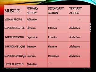 MUSCLE
PRIMARY
ACTION
SECONDARY
ACTION
TERTIARY
ACTION
MEDIAL RECTUS Adduction -- --
SUPERIORRECTUS Elevation Intortion Adduction
INFERIORRECTUS Depression Extortion Adduction
INFERIOROBLIQUE Extorsion Elevation Abduction
SUPERIOROBLIQUE Intorsion Depression Abduction
LATERAL RECTUS Abduction ---- ----
9 February 2016PARALYTIC STRABISMUS
6
 