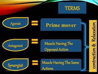 TERMS
Agonist
Prime mover
Antagonist Muscle Having The
OpposedAction
Synergist
Muscle Having The Same
Actions
contraction&Relaxation
9 February 2016PARALYTIC STRABISMUS
7
 